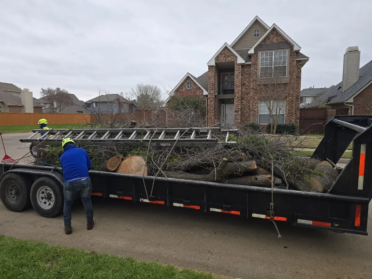 Expert Tree Removal with proper safety equipment in Lagro